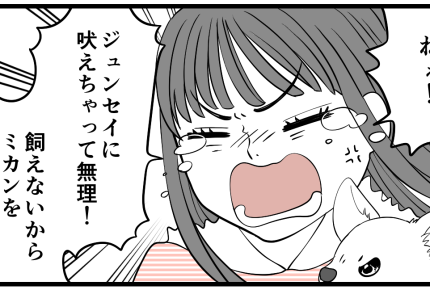 ＜義妹、同居からの誘拐！？＞無責任な義妹へ義母が説教「子ども作るんじゃないよ」【第10話まんが】