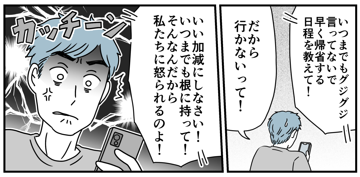 4_3_3
