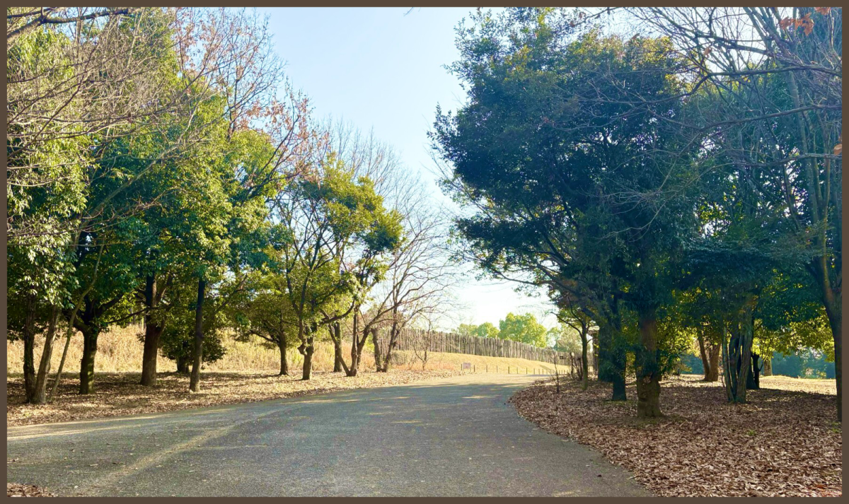 佐賀県の自然