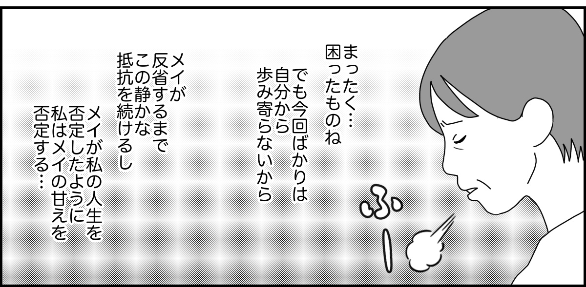 2_3_3 (36)