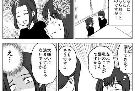 ＜義姉はコミュ障？＞取り入ろうとしたら…返り討ち「大嫌い」なぜ？【第6話まんが：ヒカルの気持ち】
