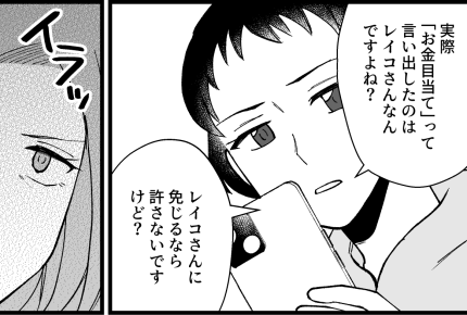 ＜義実家を狙うハイエナ女＞叔母からの連絡「誤解を解きたい！」ビデオ通話で話し合い【第7話まんが】