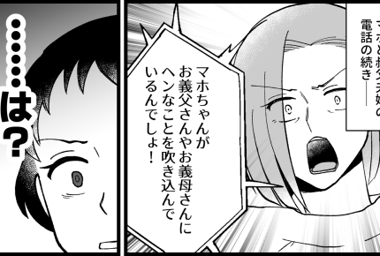 ＜義実家を狙うハイエナ女＞仲介役は終了！ついでに「叔母の本性」も暴露しちゃう～【第11話まんが】