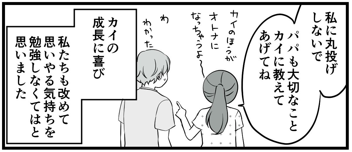 4_3_3 (26)