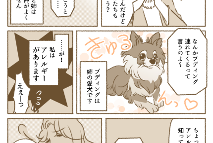 【義実家へ帰省、ムリ〜！】実姉は愛犬連れ！アレルギーだっつーの【第8話まんが】#ママスタショート