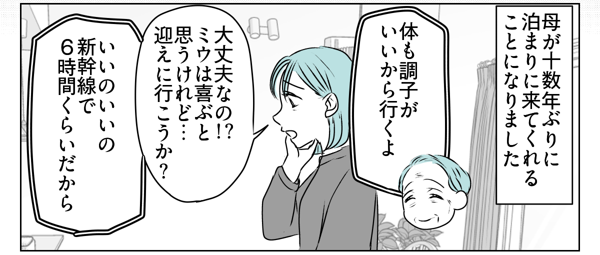 70代の母が10数年ぶりに孫の体育祭1_1_2