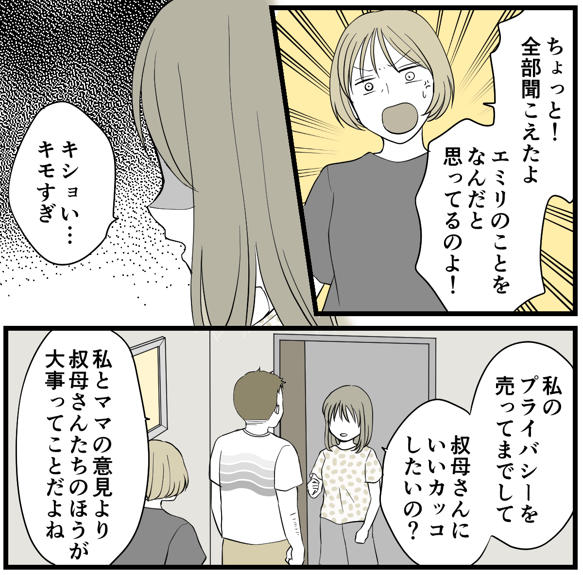 3-3-1 (24)