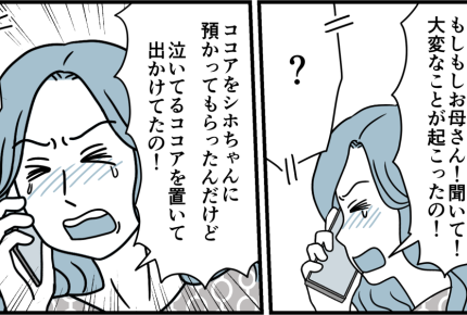 ＜義姉、親になる資格ナシ！＞怖い思いをさせて許せない！親戚中に共有【第6話まんが：義姉の気持ち】