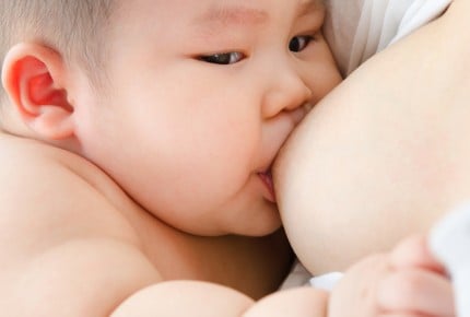 【理系育児】第四回 ご飯をしっかり食べないのはおっぱいのせいよ、と言われます(1歳8ヶ月)