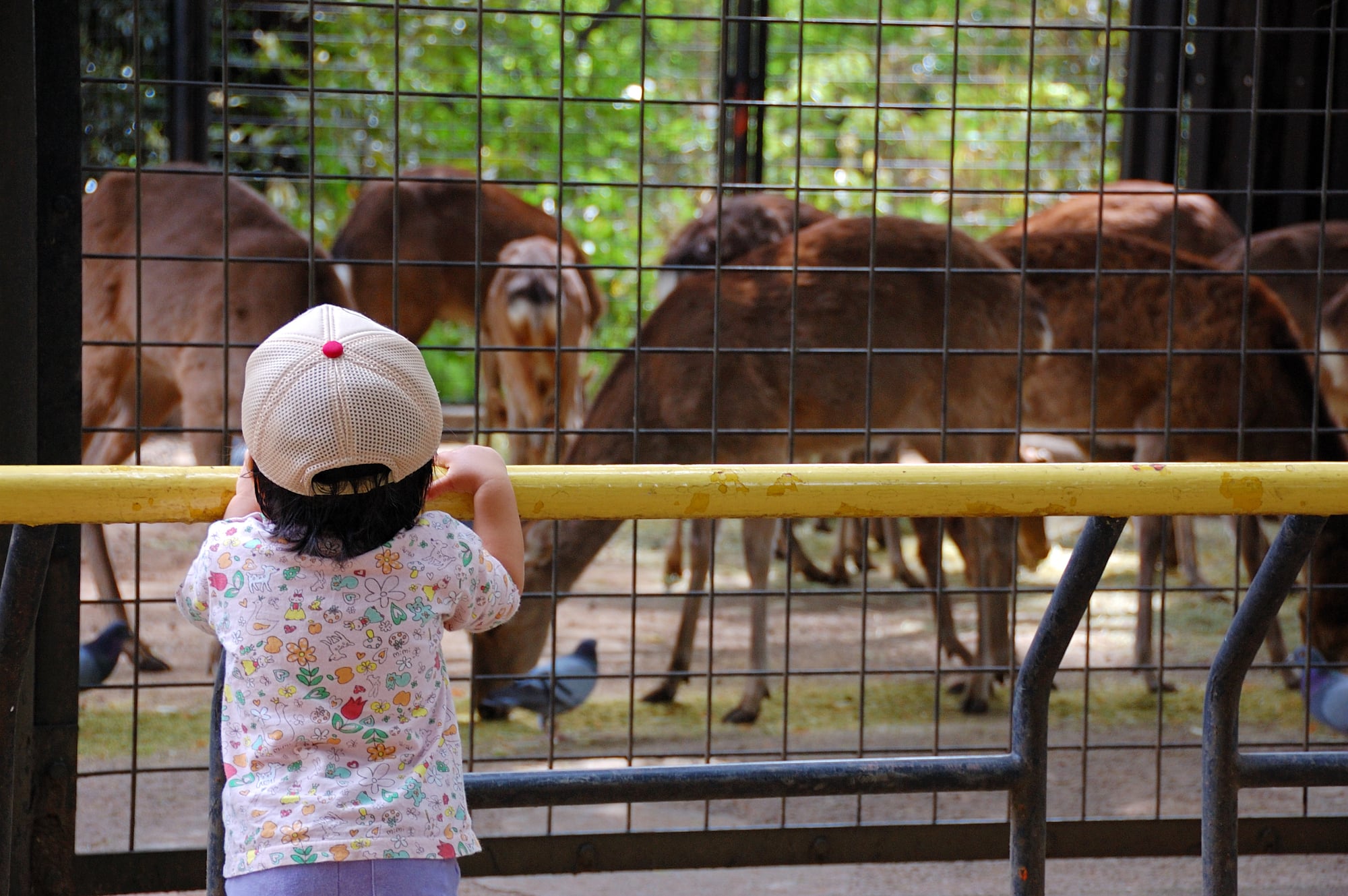 何度行っても発見あり 春休みは動物園へ行こうよ ママスタセレクト