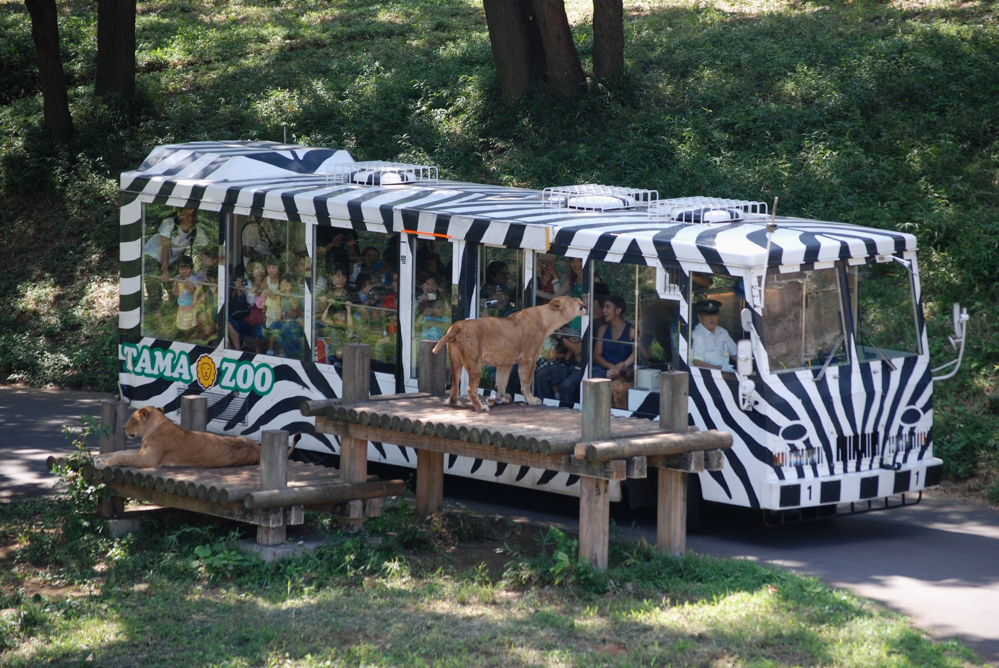 何度行っても発見あり 春休みは動物園へ行こうよ ママスタセレクト