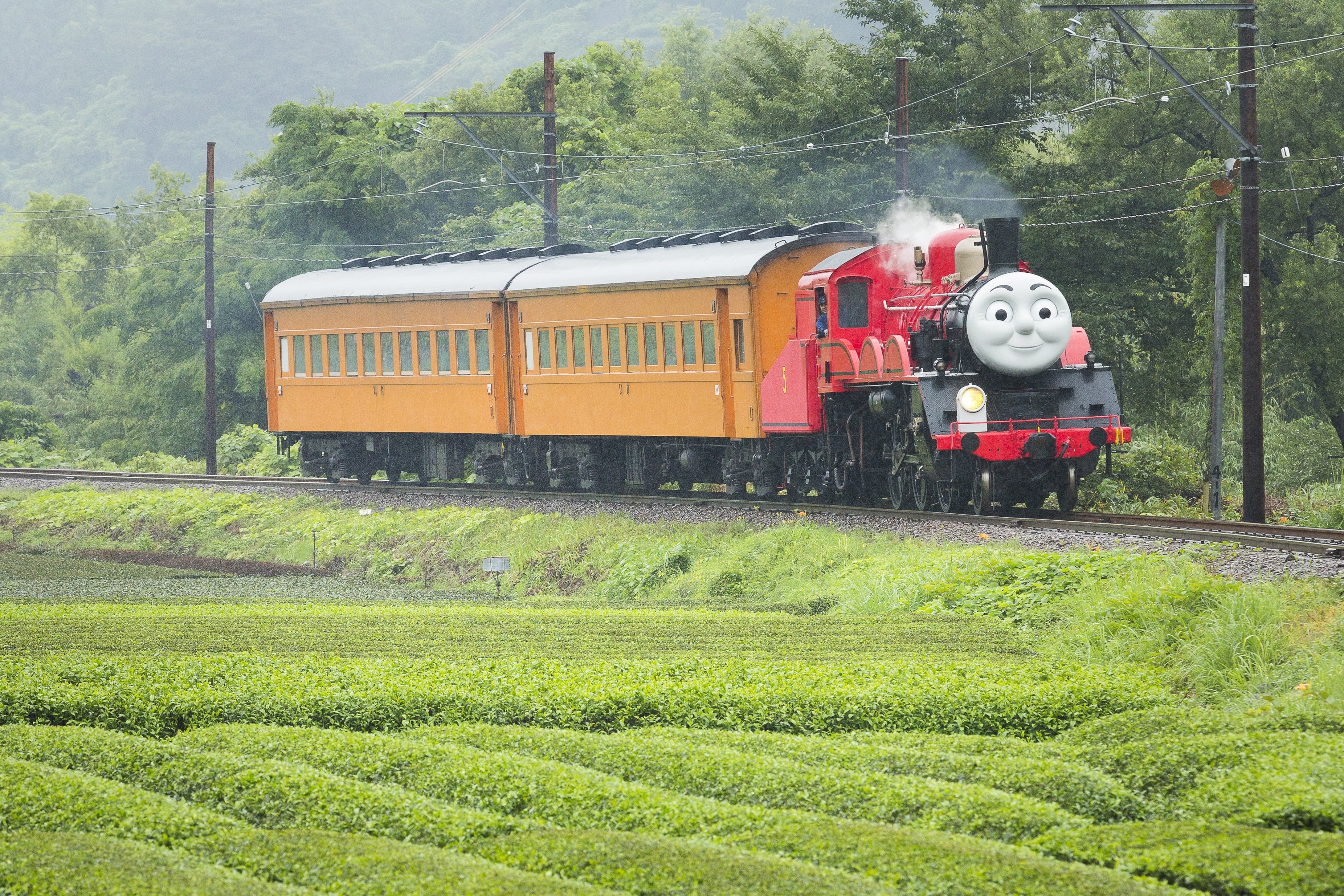 大人気の大井川鐵道 きかんしゃトーマス号 ジェームス号 予約の狙い目は ママスタセレクト