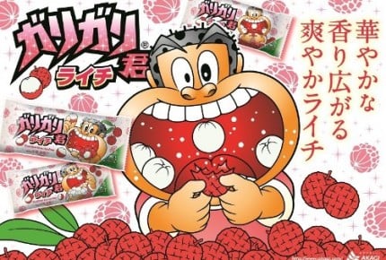 あなたはライチ派?キウイ派?「ガリガリ君」に新商品が登場!